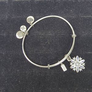 Alex & Ani Limited Edition 2017 Snowflake Bangle Charm Bracelet Silver Tone